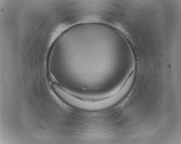 X0000071791422200607282251