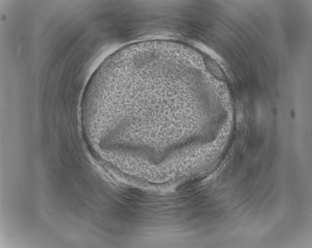 X0000071791423200607282251