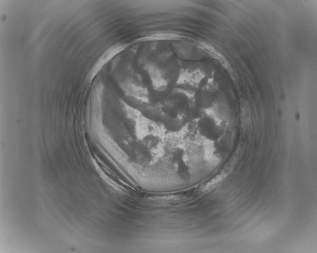 X0000071791425200607282251