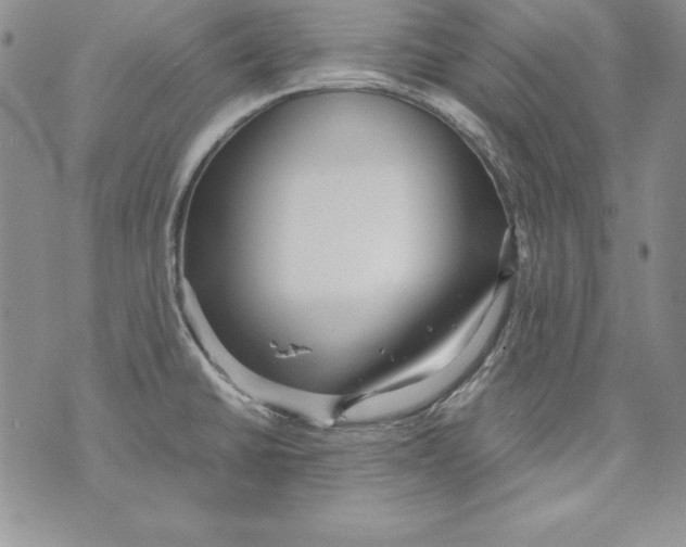 X0000071791430200607282252