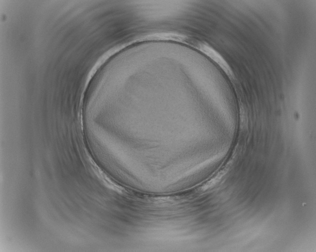 X0000071791436200607282252