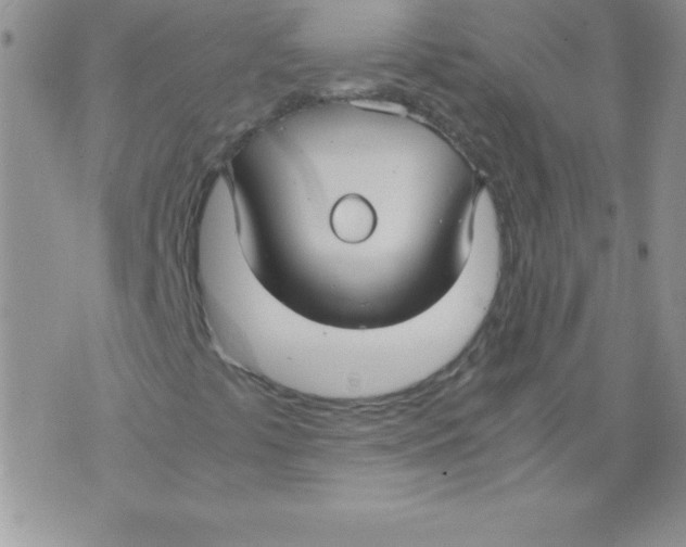 X0000071791441200607282251