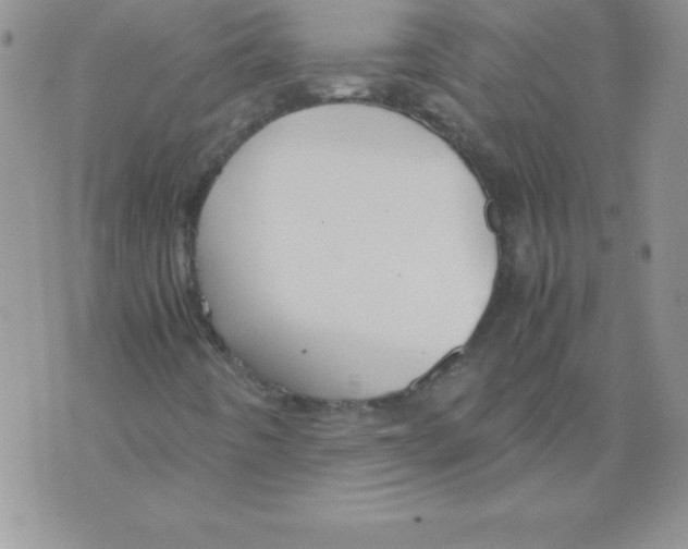 X0000071791442200607282251