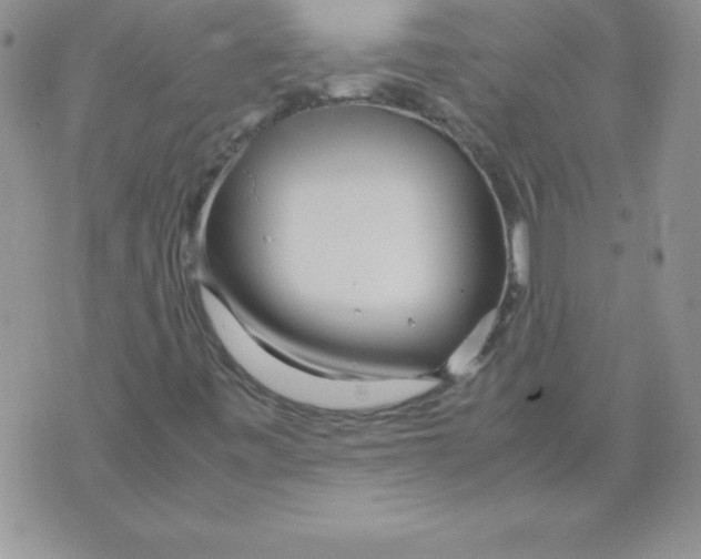 X0000071791443200607282251