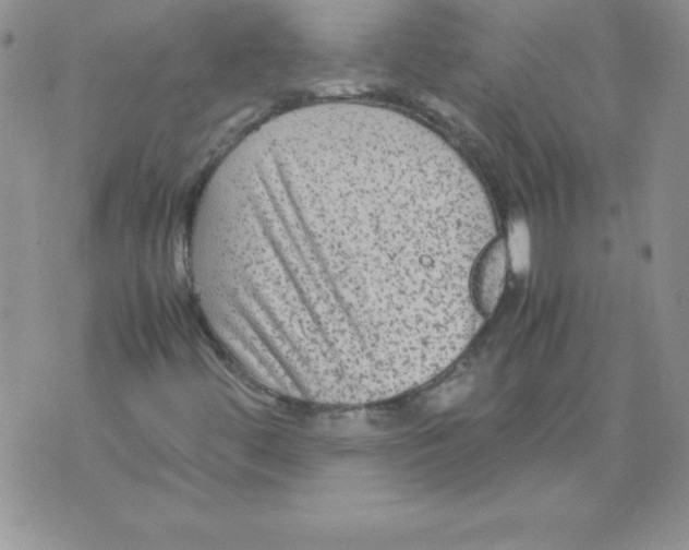 X0000071791444200607282251