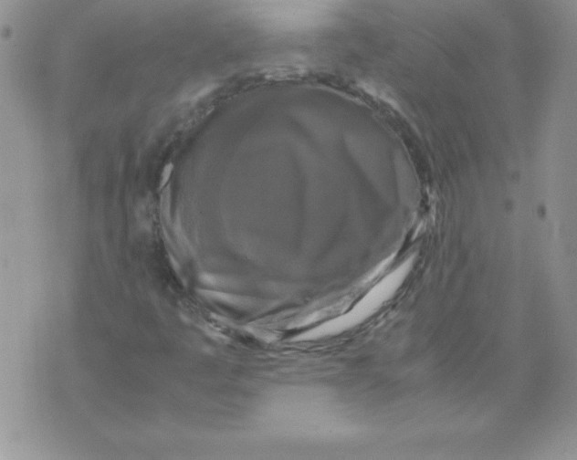 X0000071791445200607282251