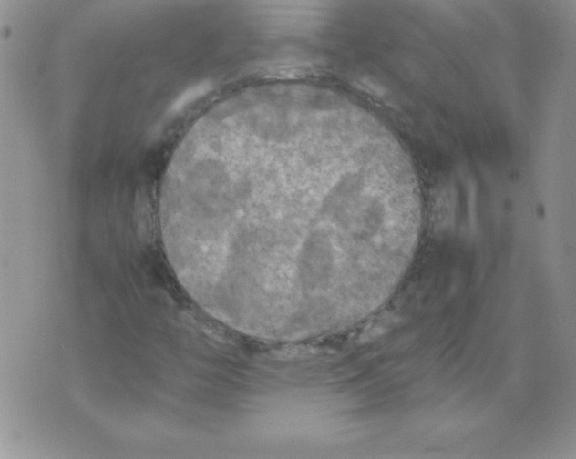 X0000071791446200607282251