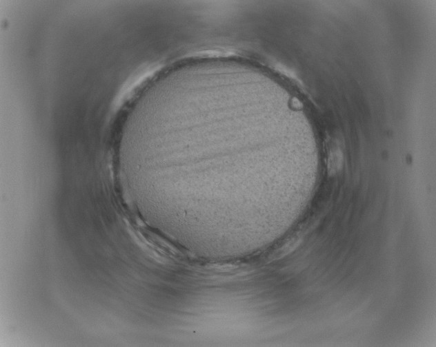 X0000071791448200607282251