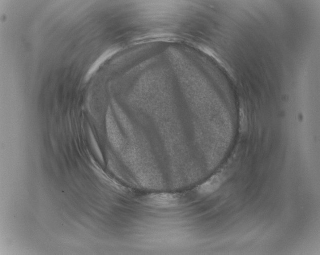 X0000071791450200607282251