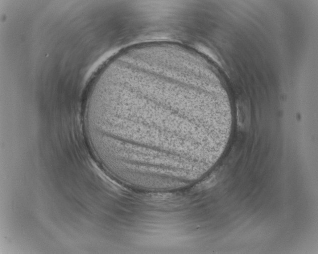 X0000071791452200607282251