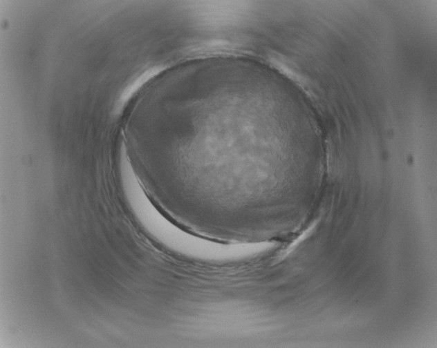 X0000071791453200607282251