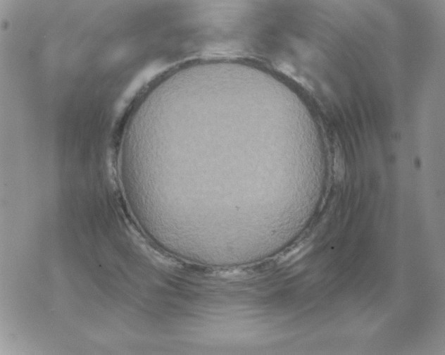 X0000071791454200607282251