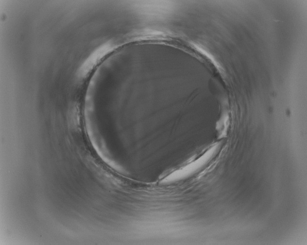 X0000071791455200607282251