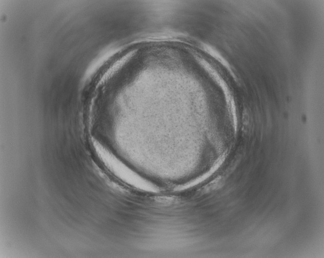 X0000071791456200607282251