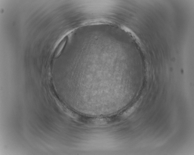 X0000071791457200607282251