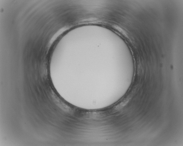 X0000071791458200607282251