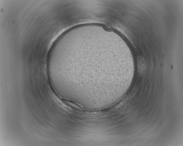 X0000071791460200607282251