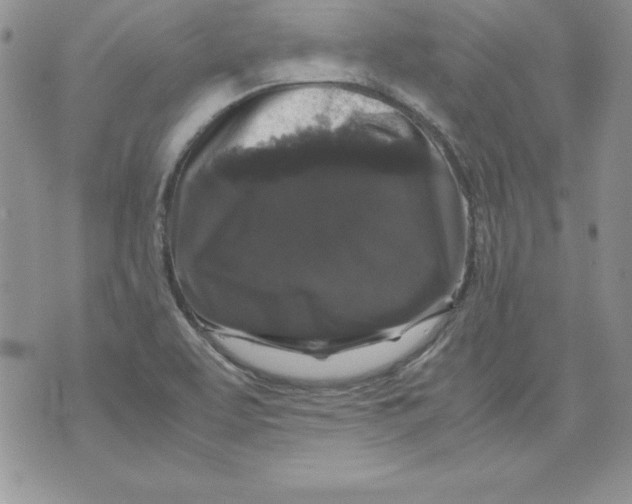 X0000071791463200607282251