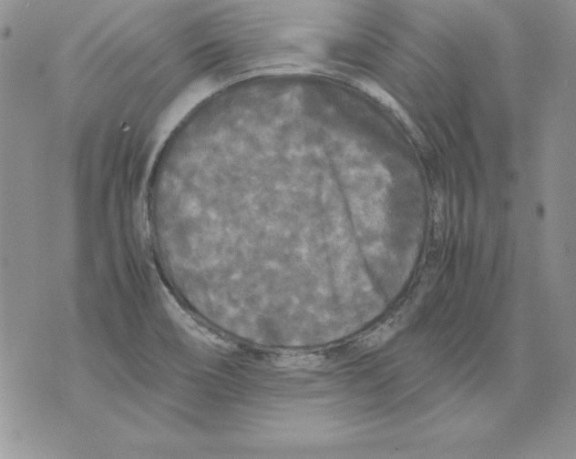 X0000071791466200607282251