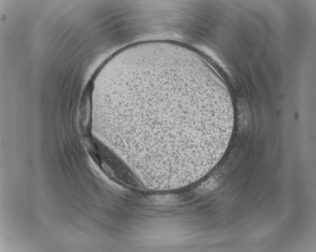 X0000071791468200607282251