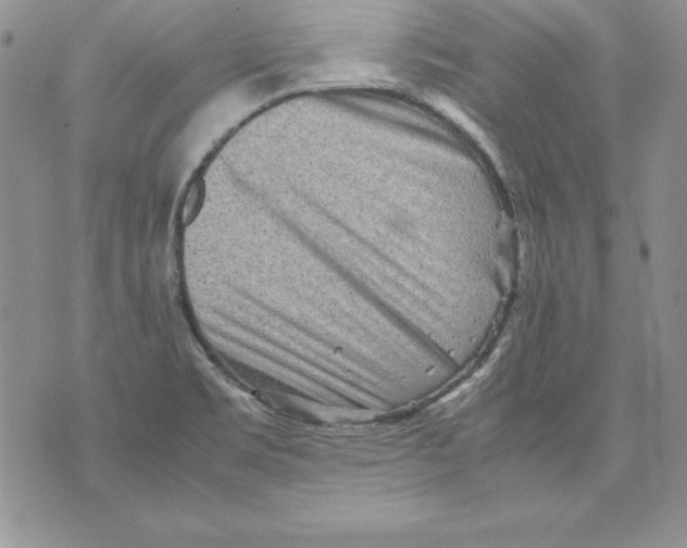 X0000071791469200607282251