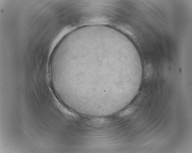 X0000071791470200607282250