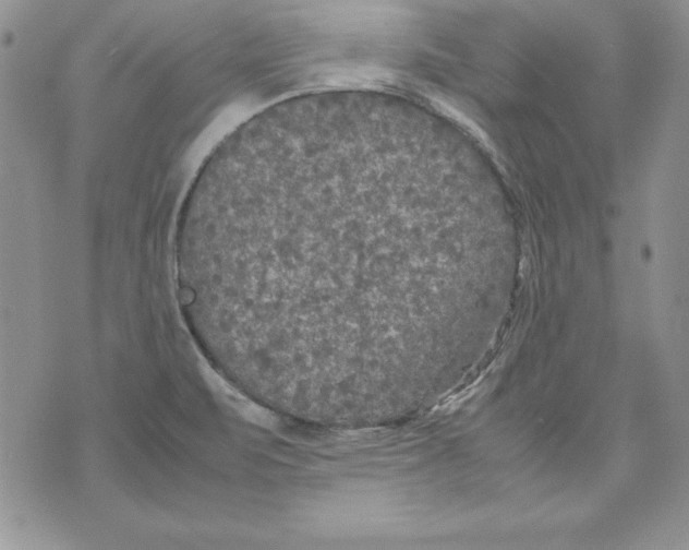 X0000071791471200607282250