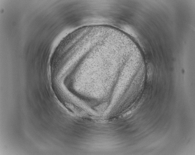 X0000071791472200607282250