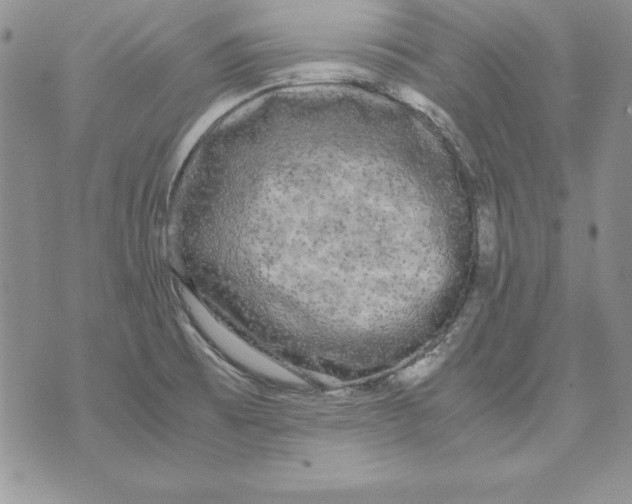 X0000071791473200607282250