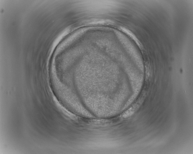 X0000071791475200607282250