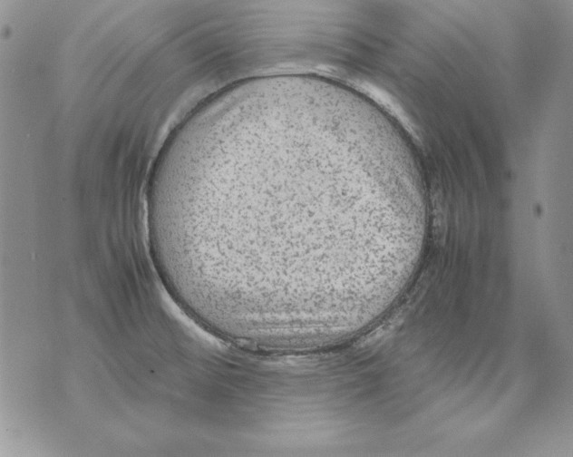 X0000071791476200607282250