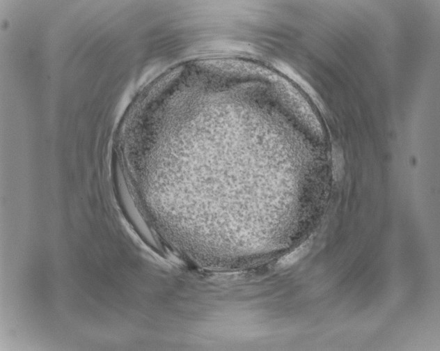 X0000071791477200607282250