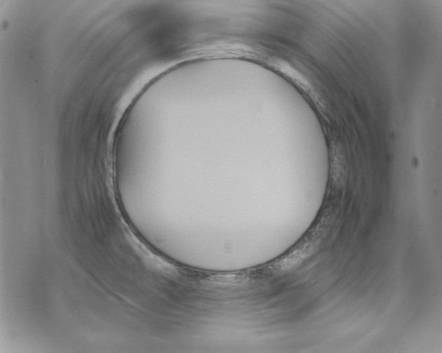 X0000071791478200607282250