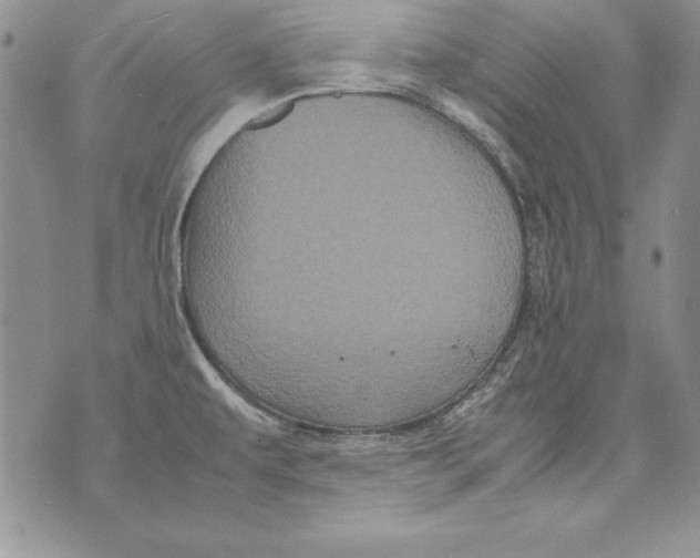 X0000071791479200607282250