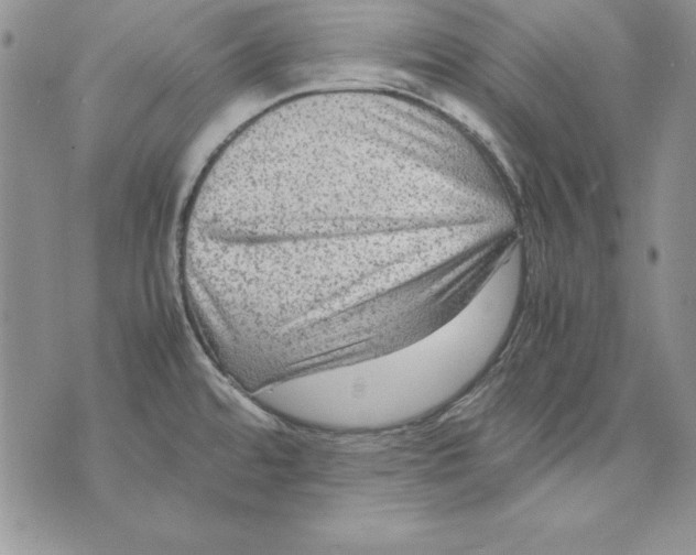 X0000071791480200607282250