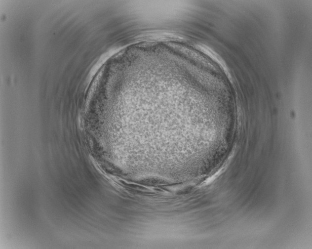 X0000071791481200607282250