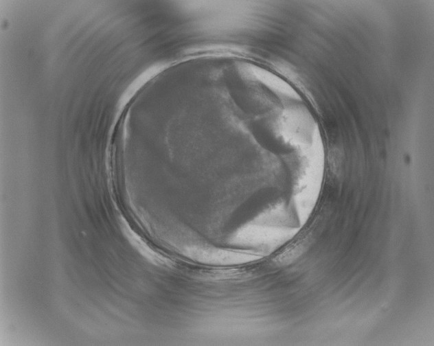 X0000071791482200607282250