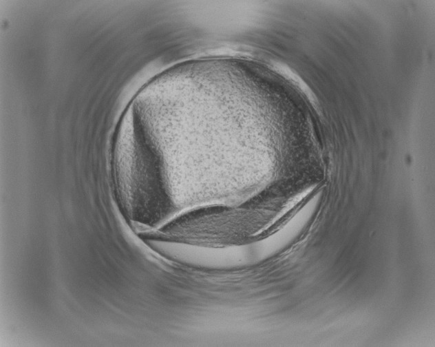 X0000071791483200607282250