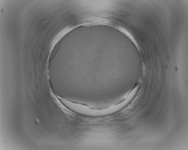 X0000071791485200607282250