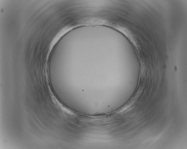 X0000071791486200607282250