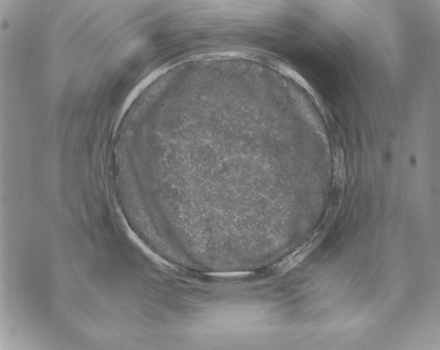 X0000071791487200607282250