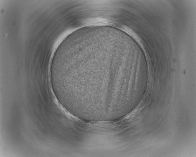 X0000071791488200607282250