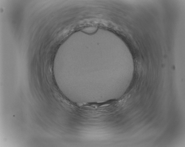 X0000071791489200607282249