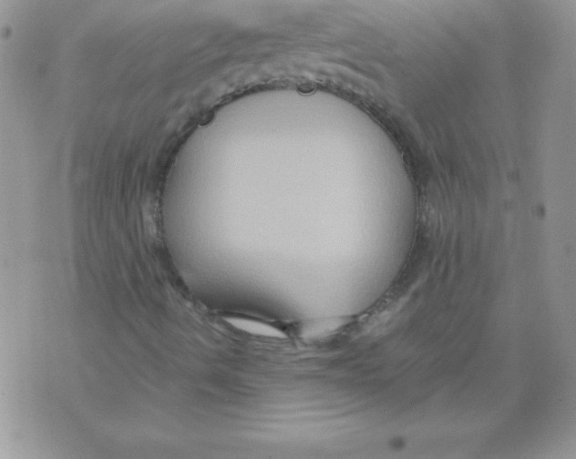 X0000071791490200607282249