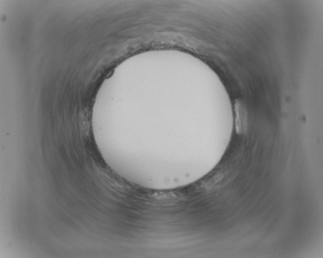 X0000071791491200607282249