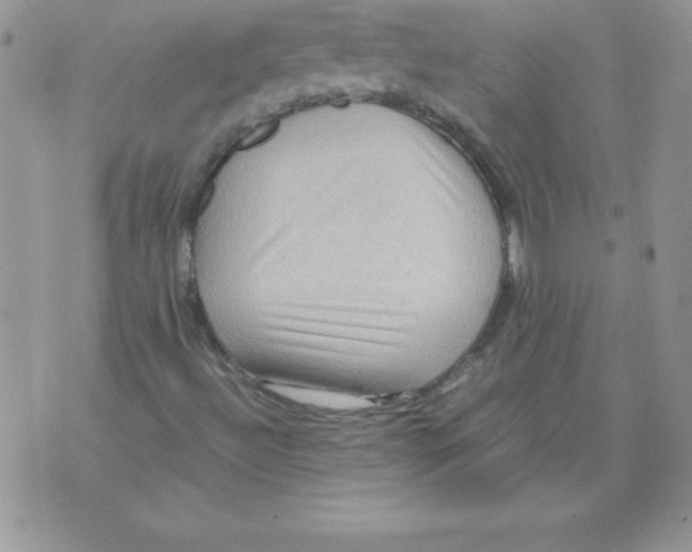 X0000071791492200607282249