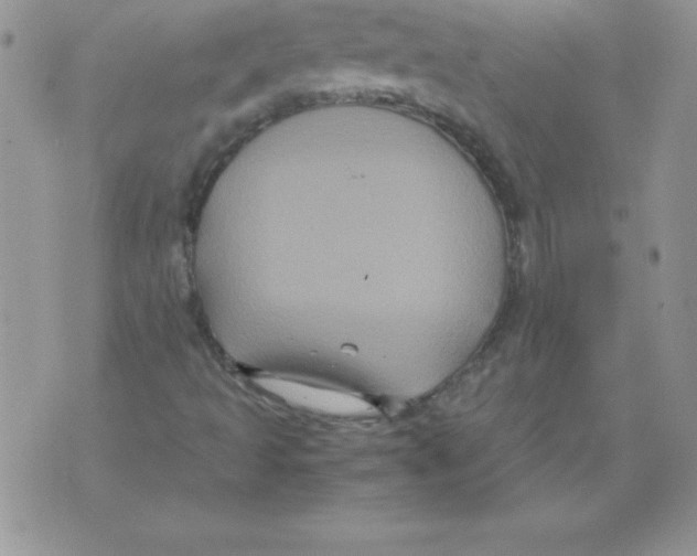 X0000071791493200607282250