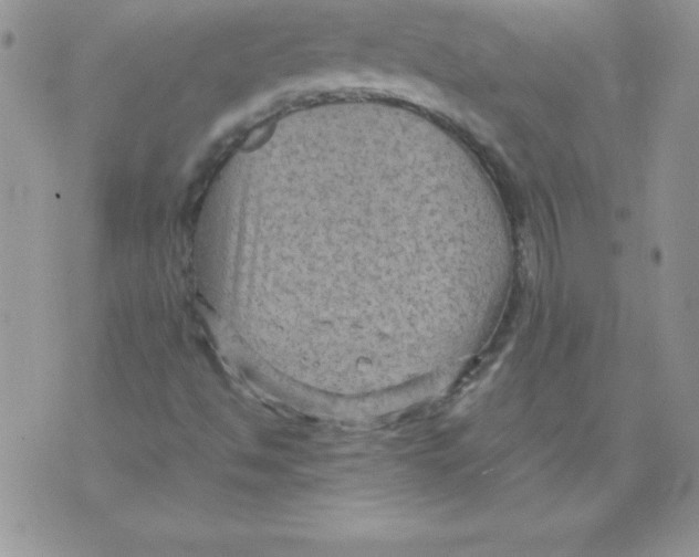 X0000071791494200607282250