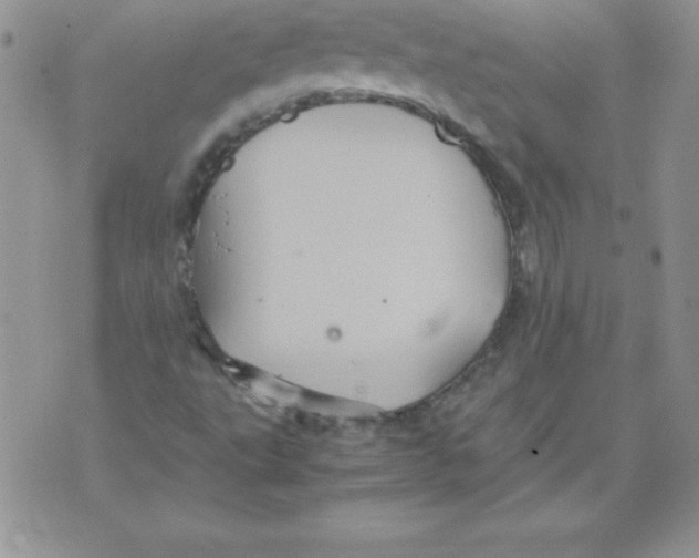 X0000071791495200607282250