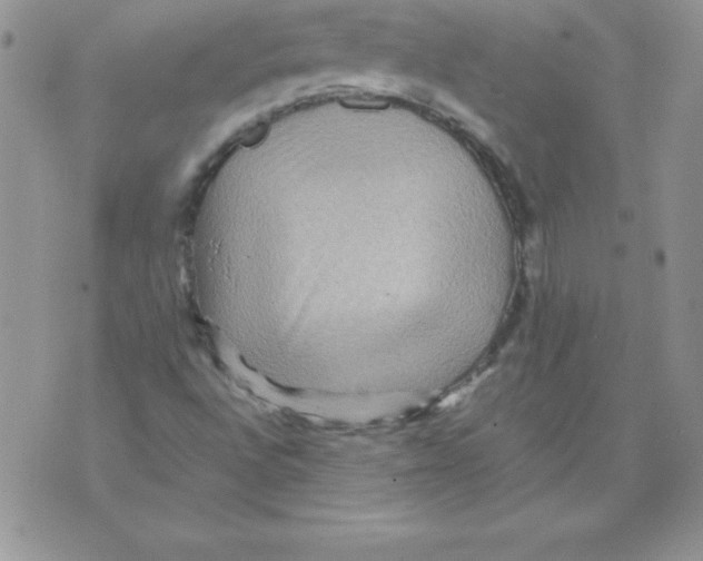 X0000071791496200607282250